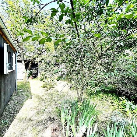 Harmonie - Agreable Maison Situee Dans Un Ecrin De Verdure La Tremblade Exterior photo